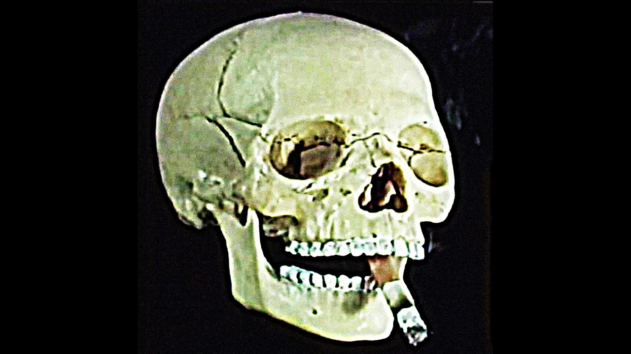 [FREE] $UICIDEBOY$ x BONES TYPE BEAT - 