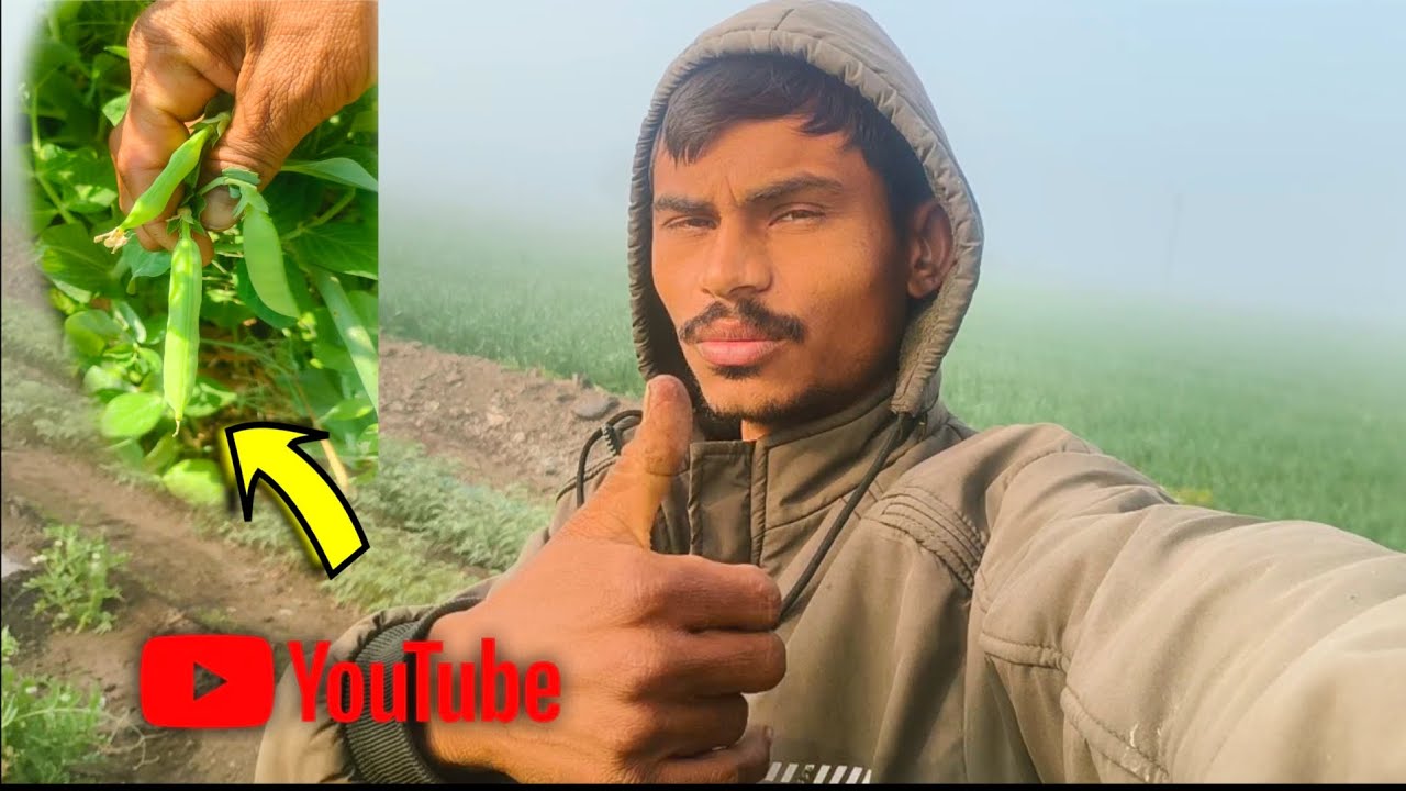 🙏वटोणा में पानी चालू है वीडियो 🔹 पसंद आये तो  सब्सक्राइब करें।💐