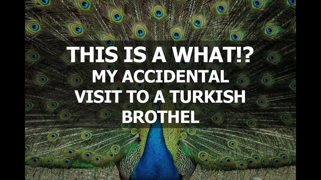 I thought a Turkish brothel was a regular bar