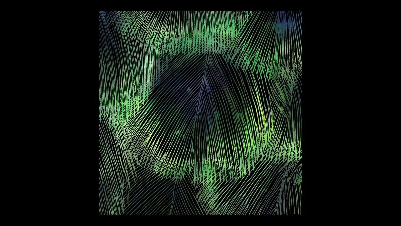 Matthias Meyer & Ryan Davis - Cafune