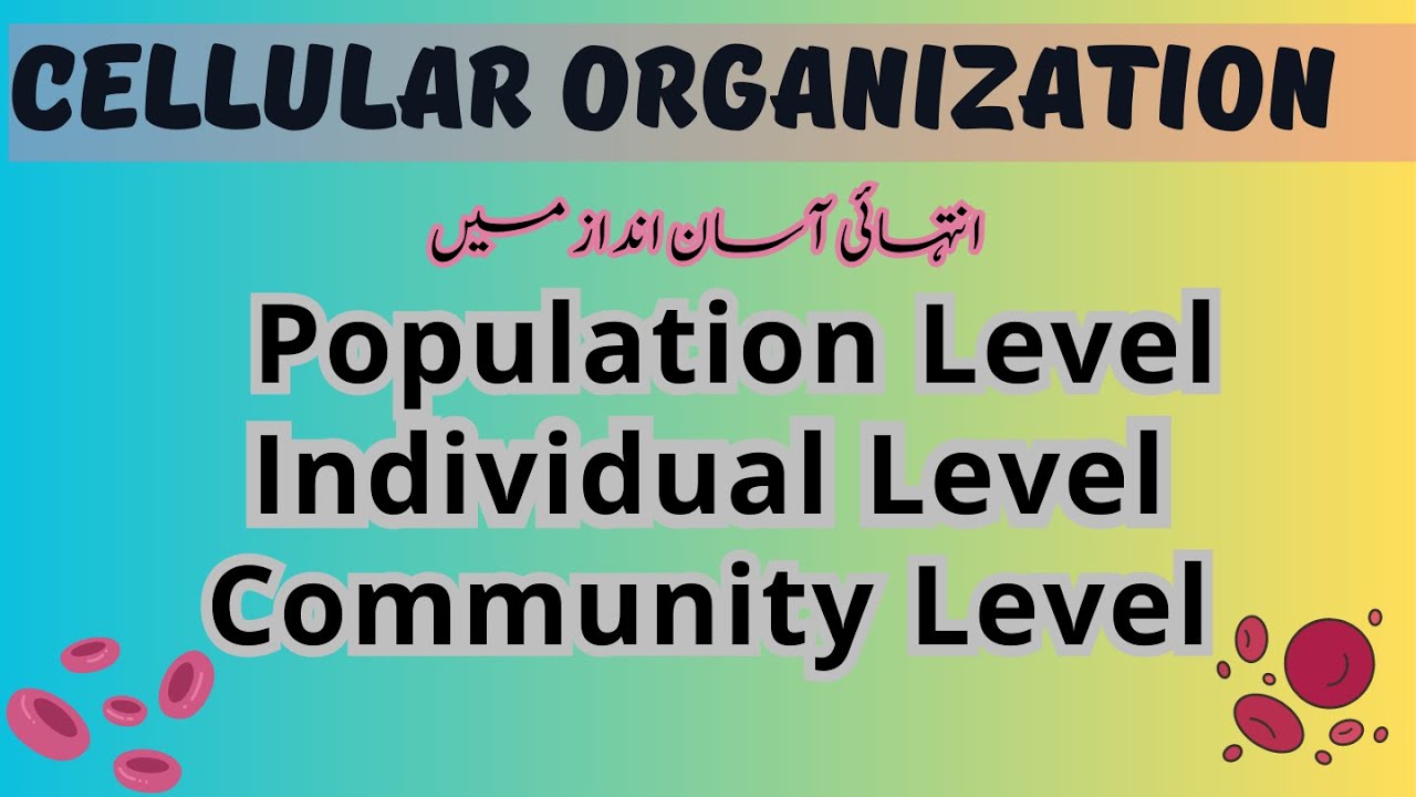 |Individual level Animation|9th Biology at the Individual Level: Chapter 1|Biosphere animation|9th