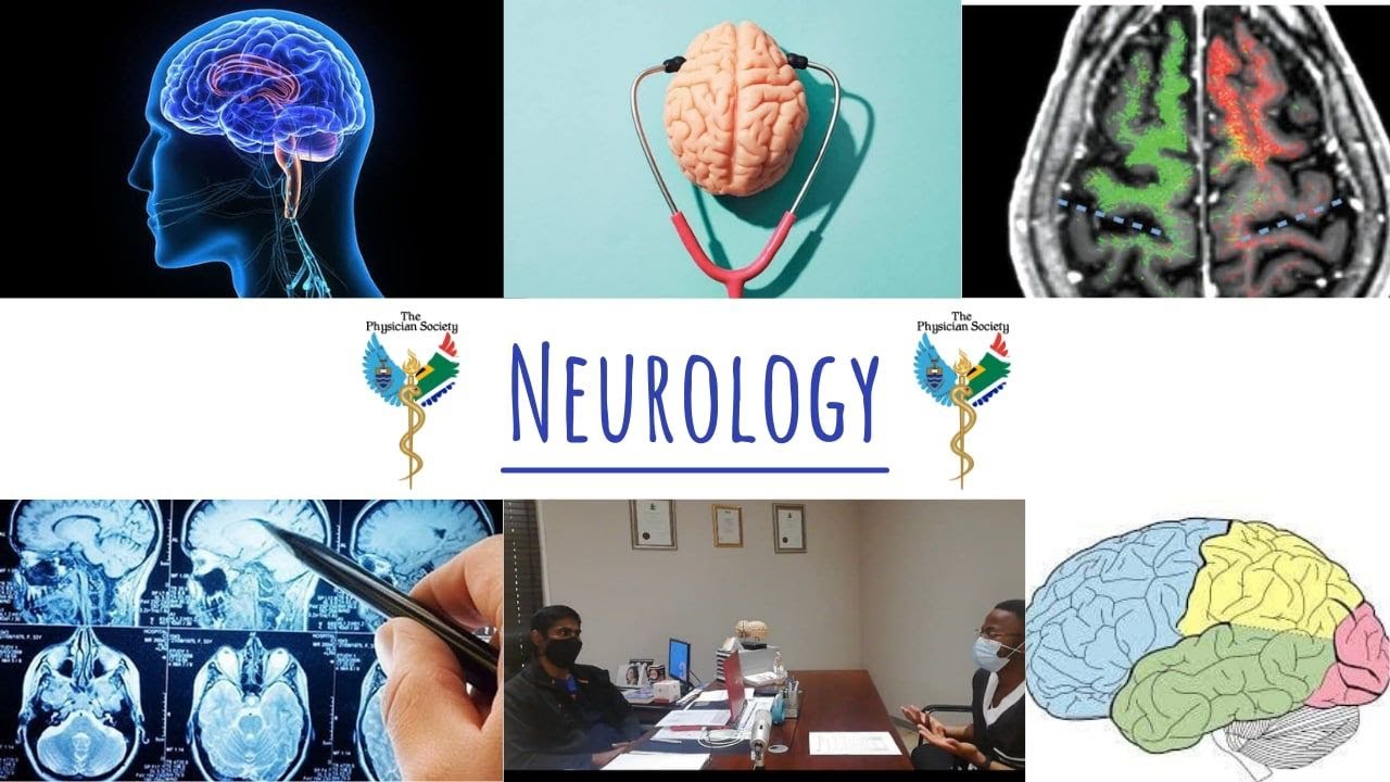 Physician Sub-specialty Series: Neurology l The Wits Students' Physician Society