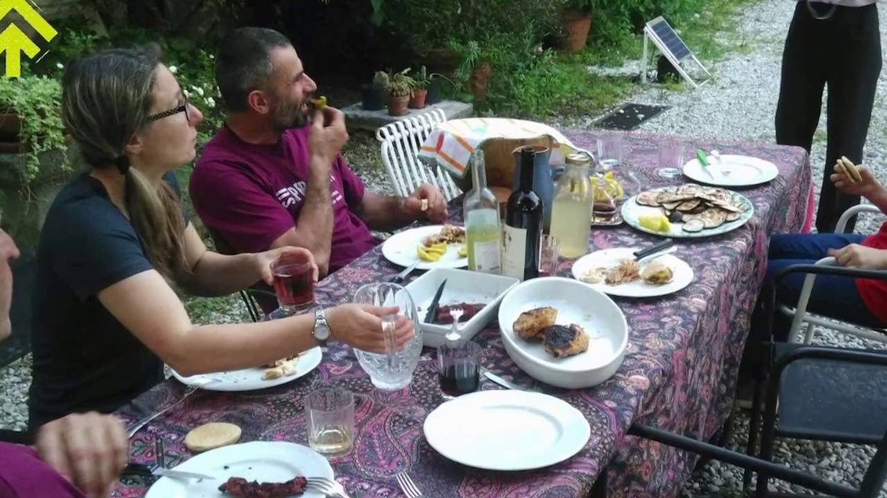 Il Platano di Altivole