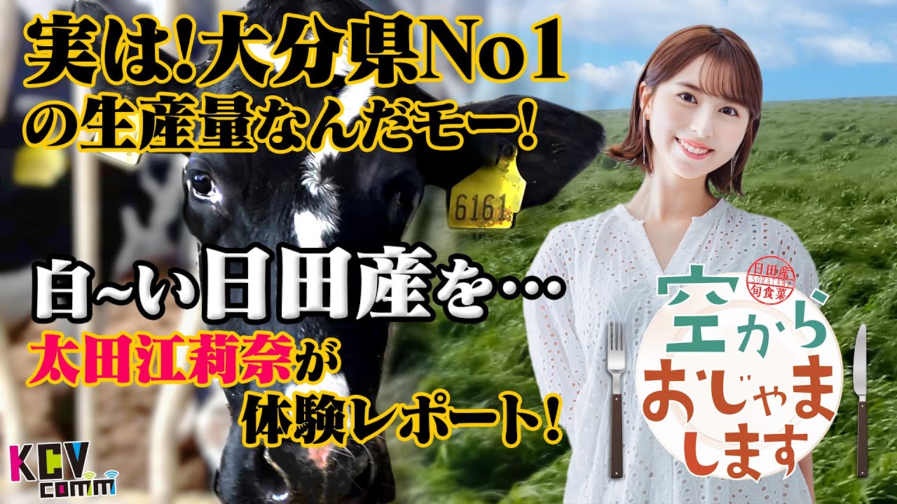 【KCV Hita】空からおじゃまします第6回「日田酪農」編