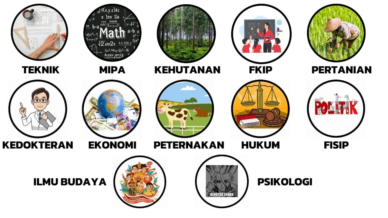 Semua Fakultas Perkuliahan Dijelaskan Dalam 9 Menit