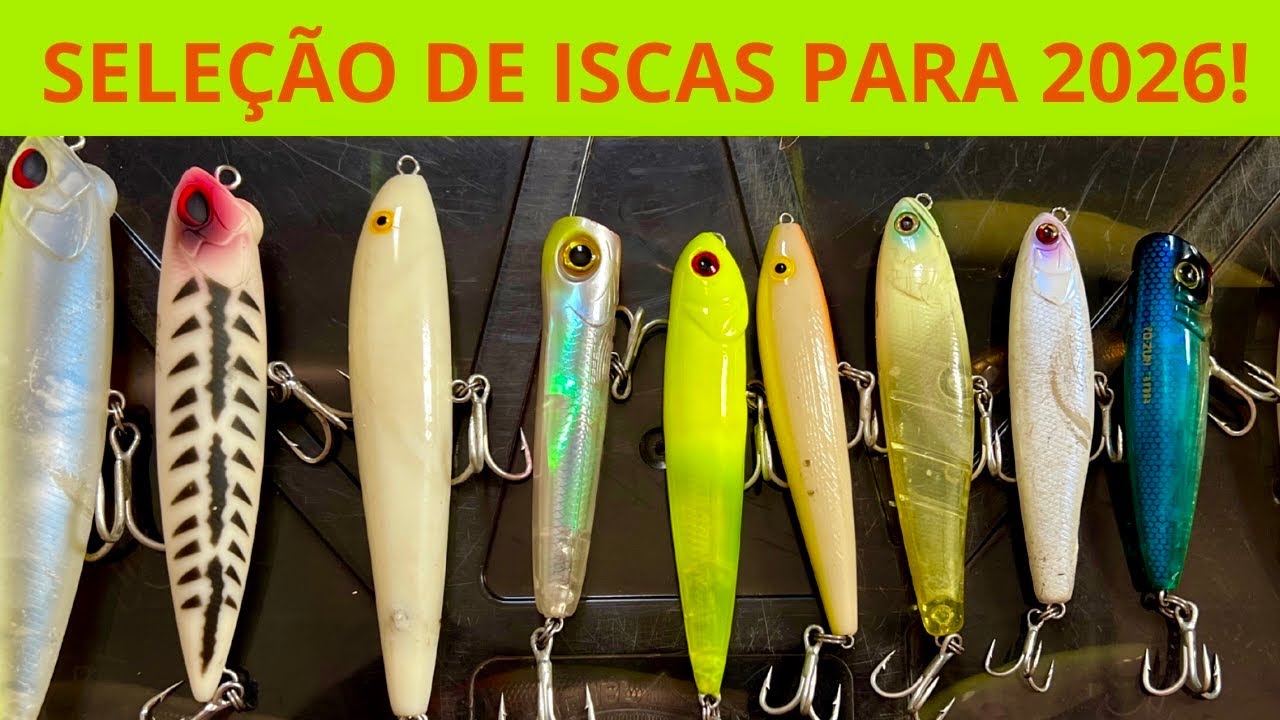  SELEÇÃO DE ISCAS PARA 2026!!