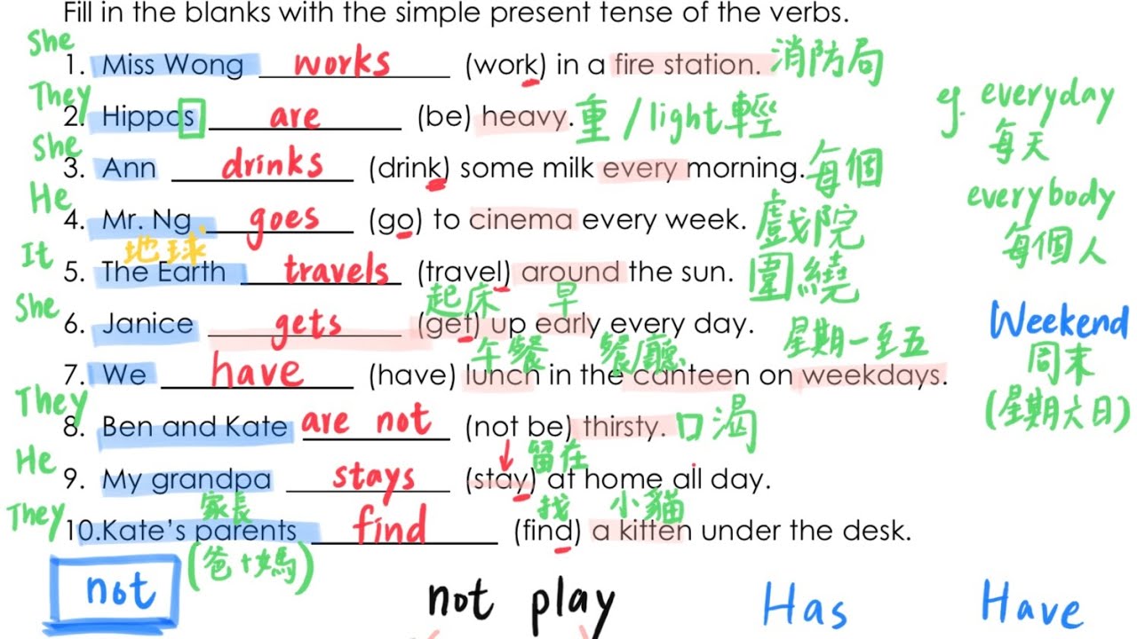 依師教育中心 升小三 英文文法班 Simple Present Tense
