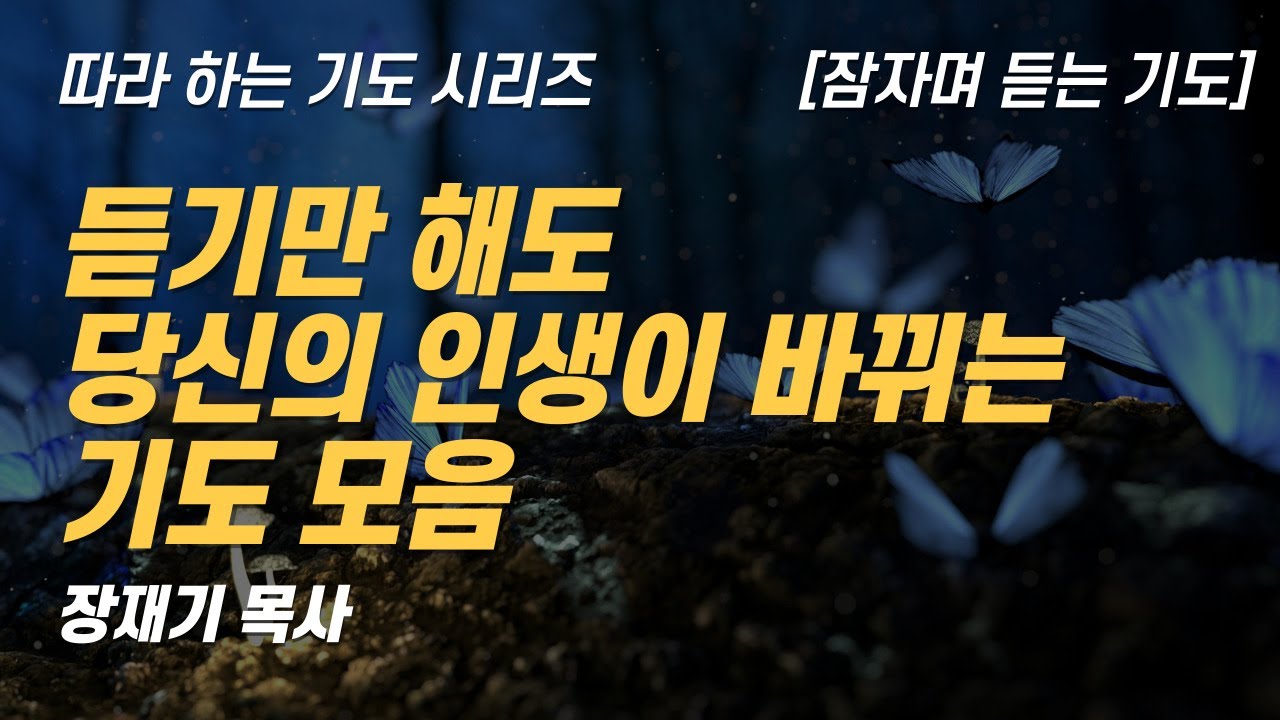 (따라하는 기도시리즈) 모음17 인생이 바뀌는 기도 모음 / 장재기 목사 [잠자며 듣는 기도]
