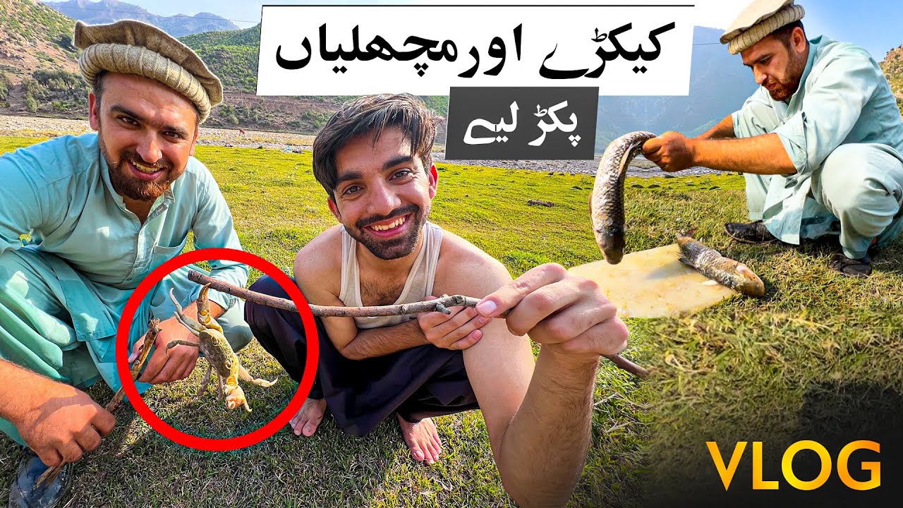 NEW VLOG | VLOG #6 | Fb metal