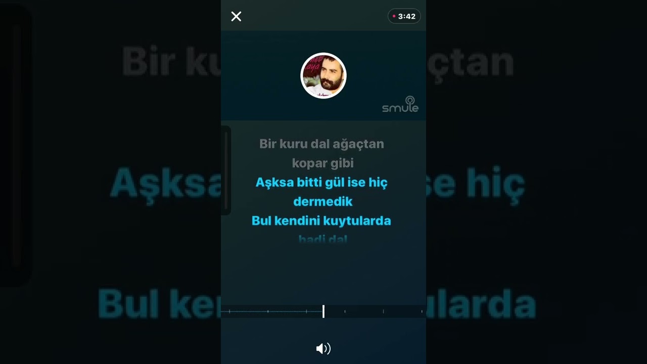 Ahmet Kaya Bir Veda Havası ( Orjinal Karaoke )