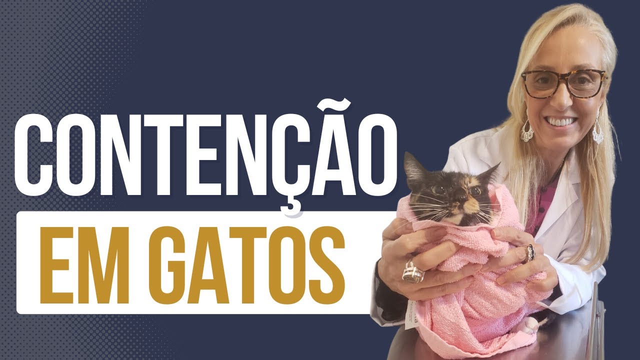 Contenção em Gatos | Cats Academy PRO