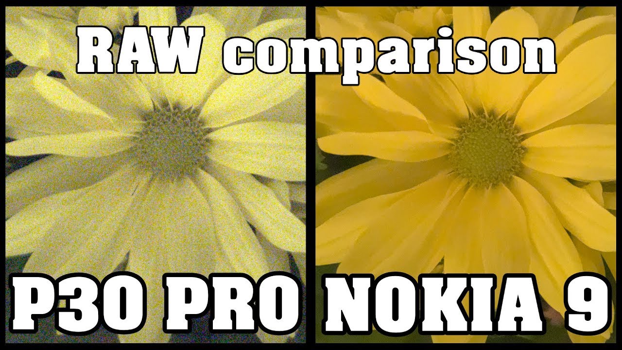 Huawei P30 Pro vs. Nokia 9 PureView : Raw comparison