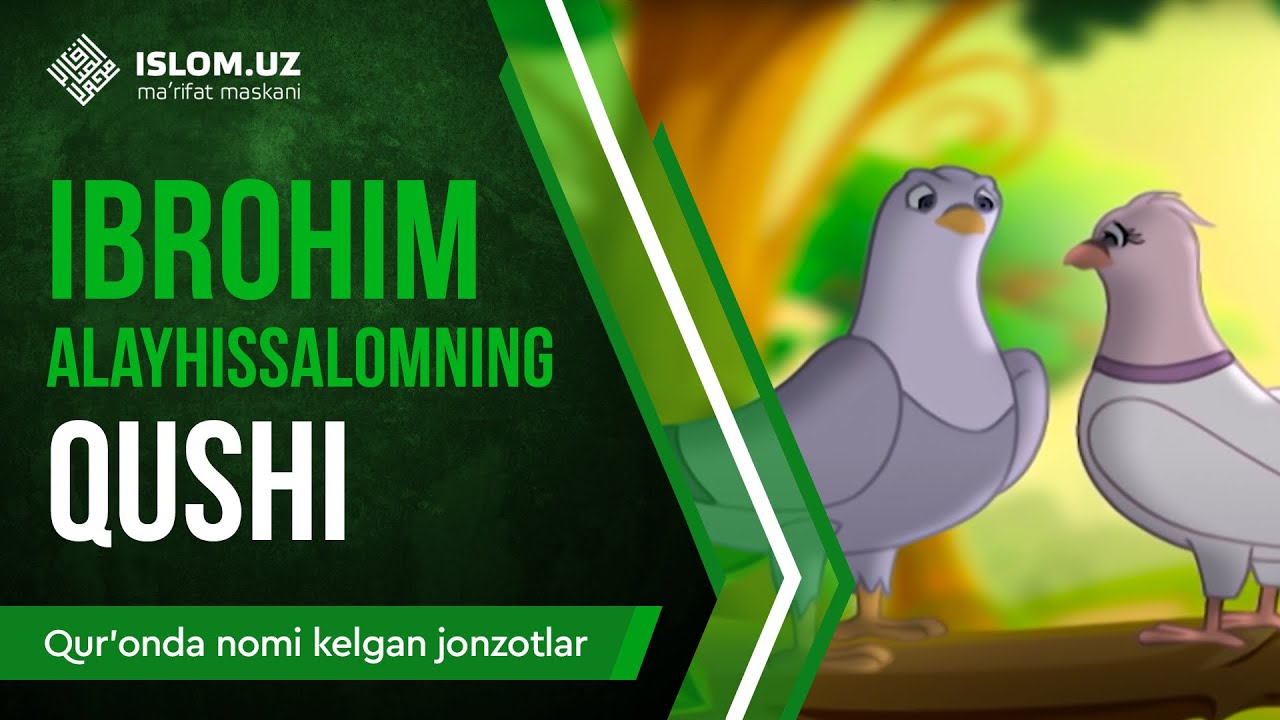 05.  Ibrohim alayhissalomning qushi (1-qism) | Qur'onda nomi kelgan jonzotlar