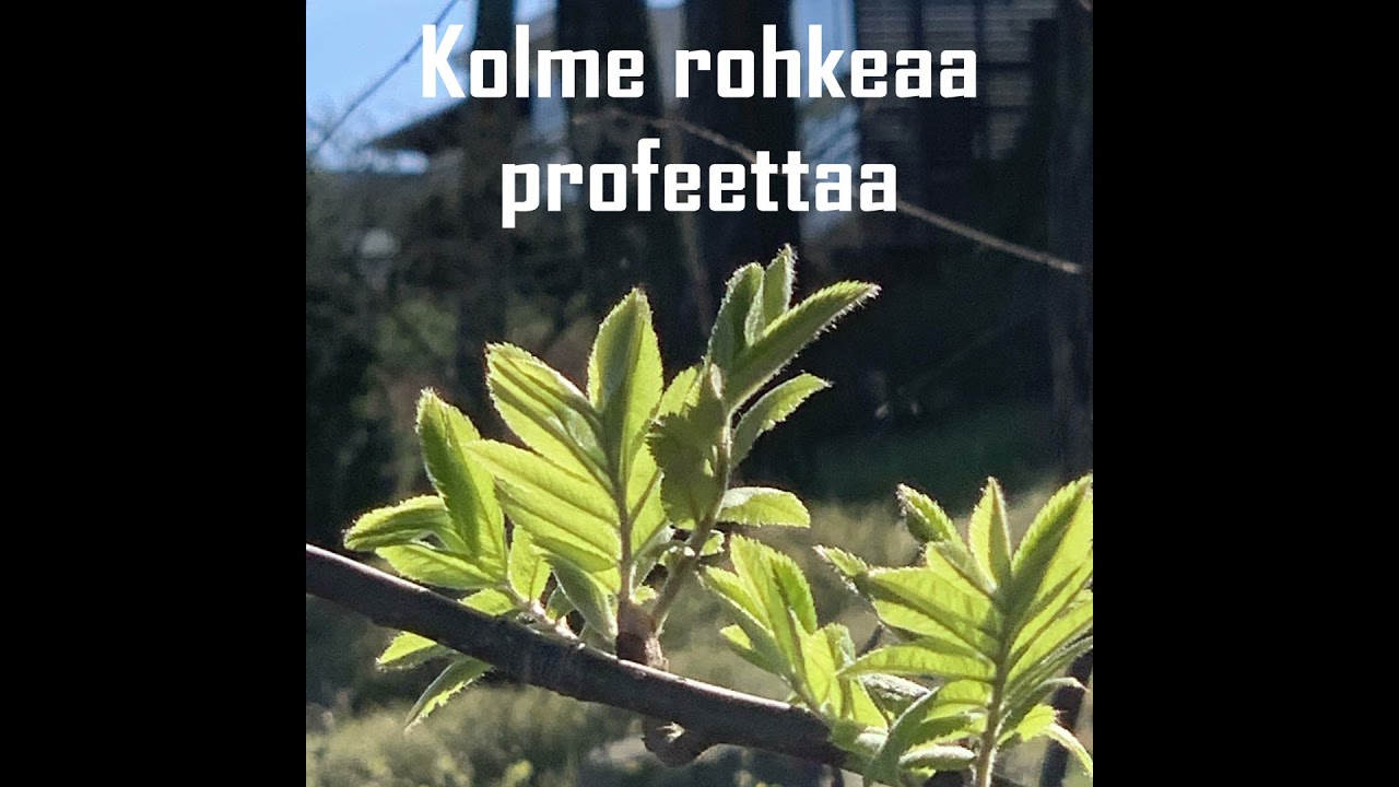Kolme rohkeaa profeettaa - Sidkian viimeinen mahdollisuus (Jer. 38:14-28; 2. Kun. 24:17-25:7)