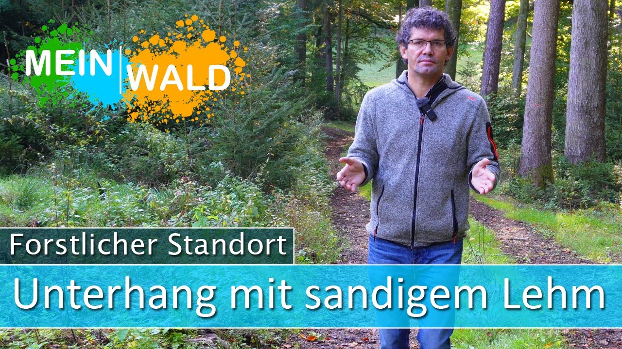 🌎🌱Waldbau im Unterhang auf frischem sandigem Lehm - Forstlicher Standort #2