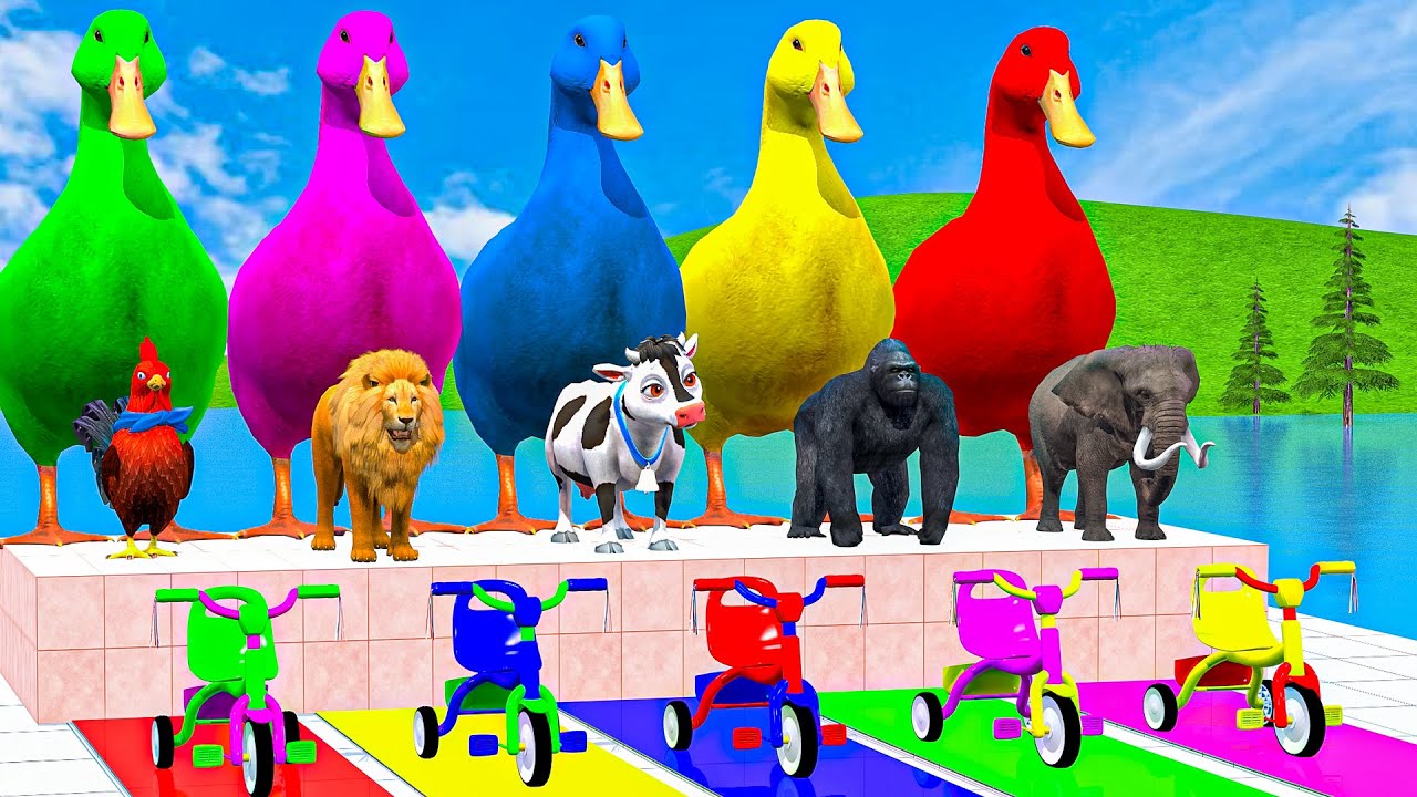 Long Slide Game With Cow Elephant Gorilla Hippopotamus Tiger - 3d Animal Game - Funny 3d Animals