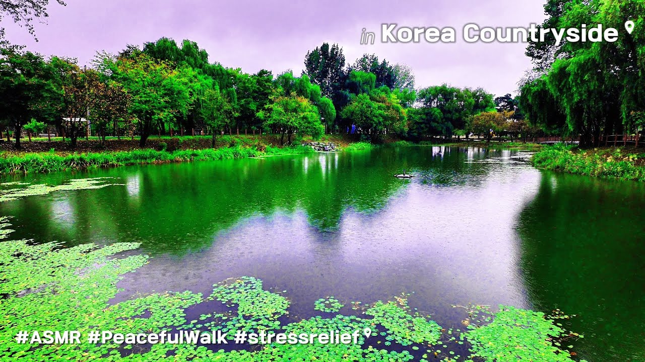 자연휴식ASMR, 초록빛 정원산책 비를 만나다 | Sudden Rain in a Beautiful Garden  #4k #Stressrelief