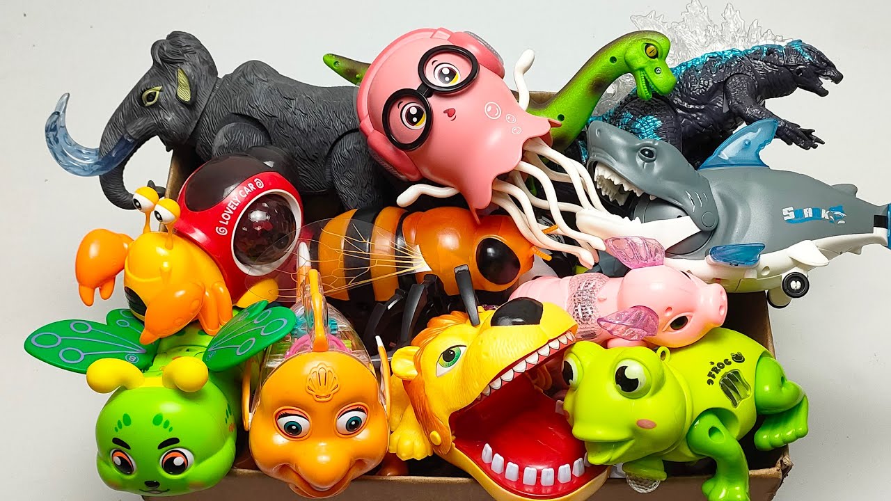 Toy ASMR ,