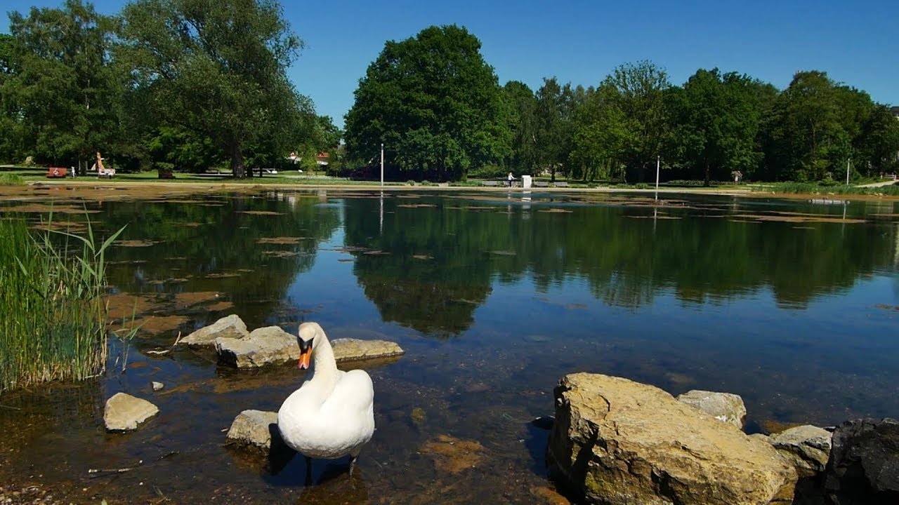 Mai 2018 in Bad Laer - Osnabrücker Land