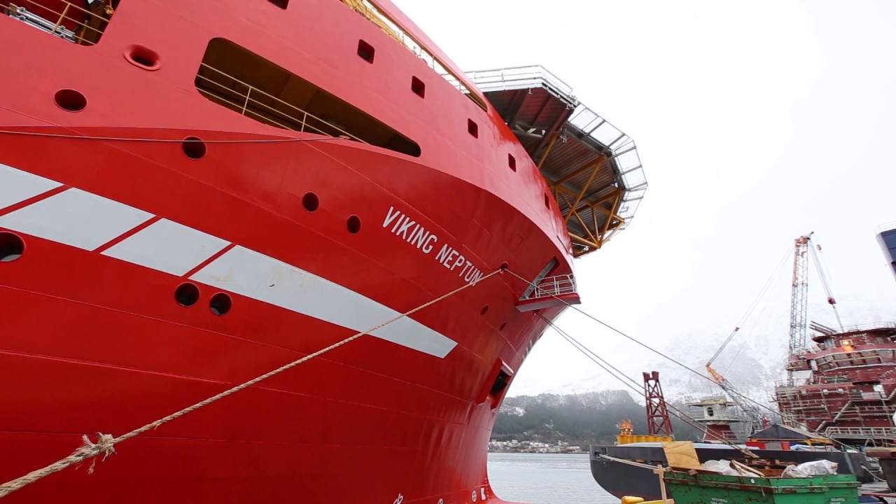Viking Neptune