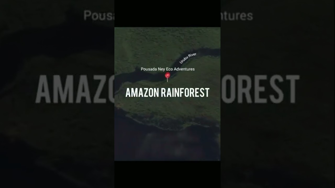Discover the Undiscovered 🌎 Visit the Amazon Rainforest Brazil 📍🇧🇷