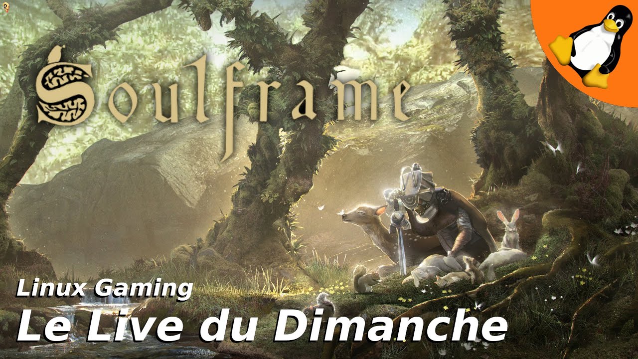 Soulframe | le live du dimanche - atokOnLinux