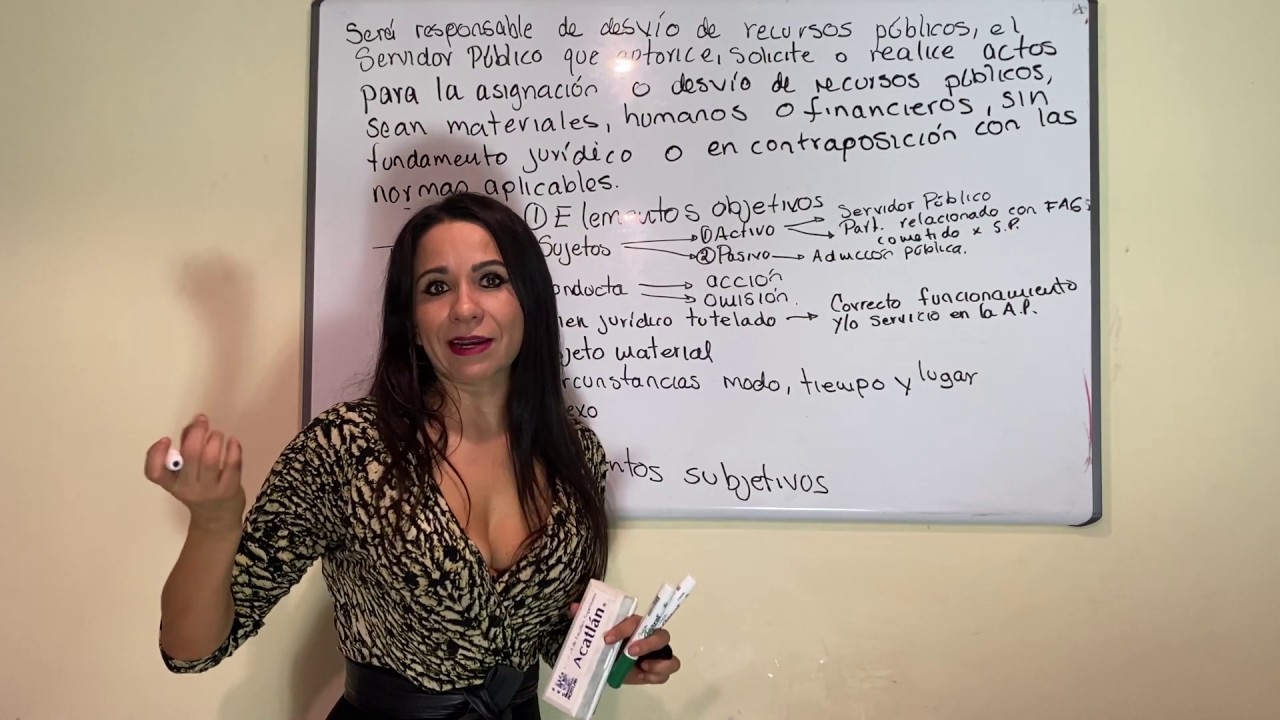Los elementos objetivos y subjetivos del tipo administrativo disciplinario