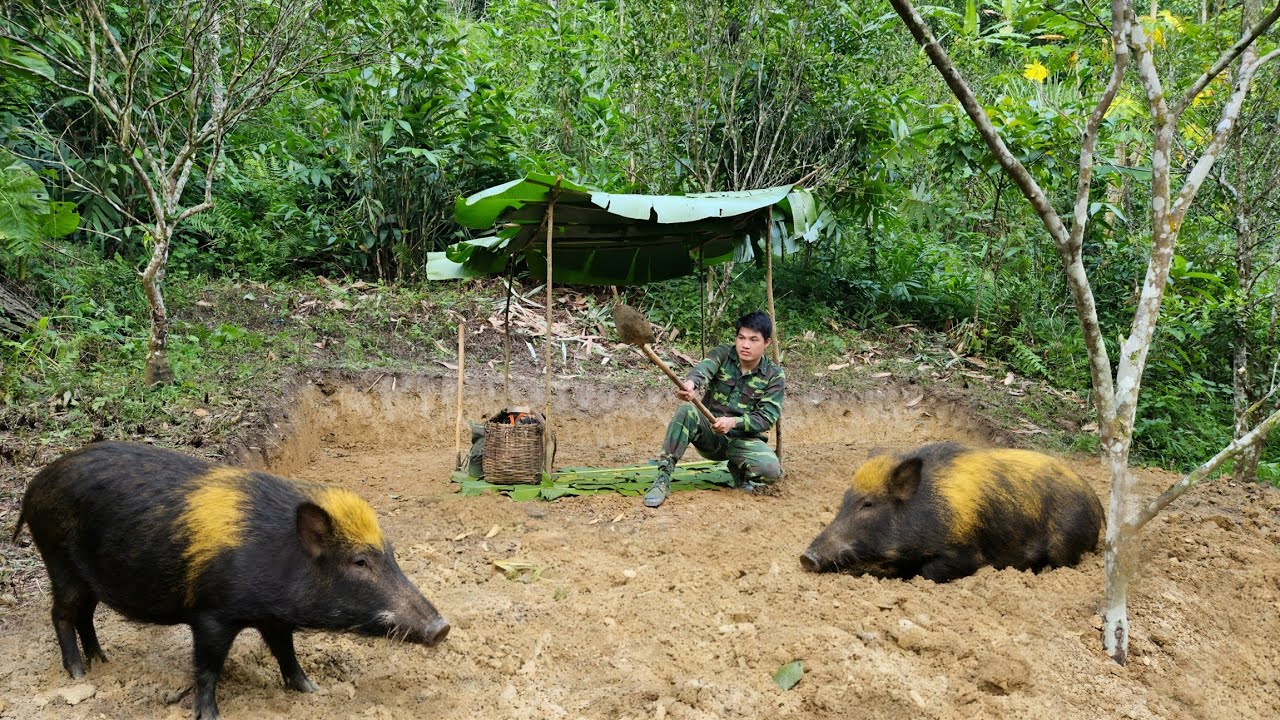 Stay away from the ferocious wild boars, move to new lands and build new projects for the future