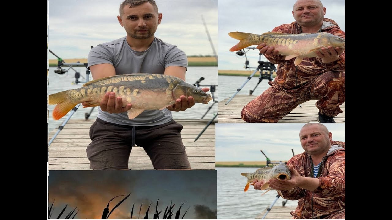 ЛОВЛЯ КАРПА НА КУЛЬТУРНОМ ВОДОЕМЕ… при помощи кораблика