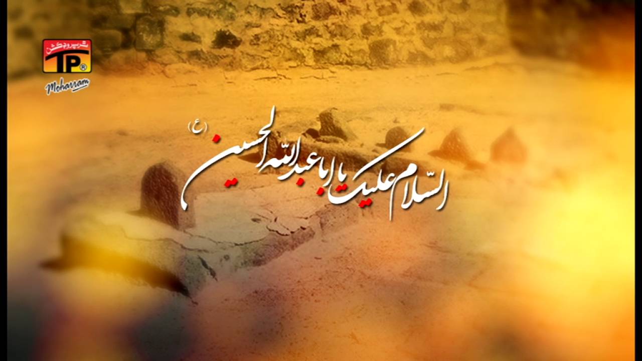 Bhai Bhai Pukarti Rahi Mei - Mir Hassan Mir - 2016-17 - TP Muharram 2016-17
