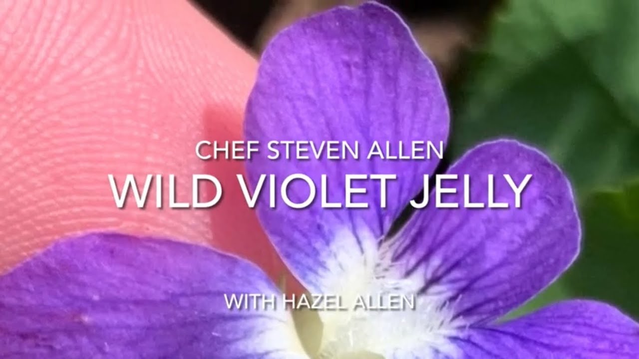 Wild Violet Jelly with Chef Steven Allen