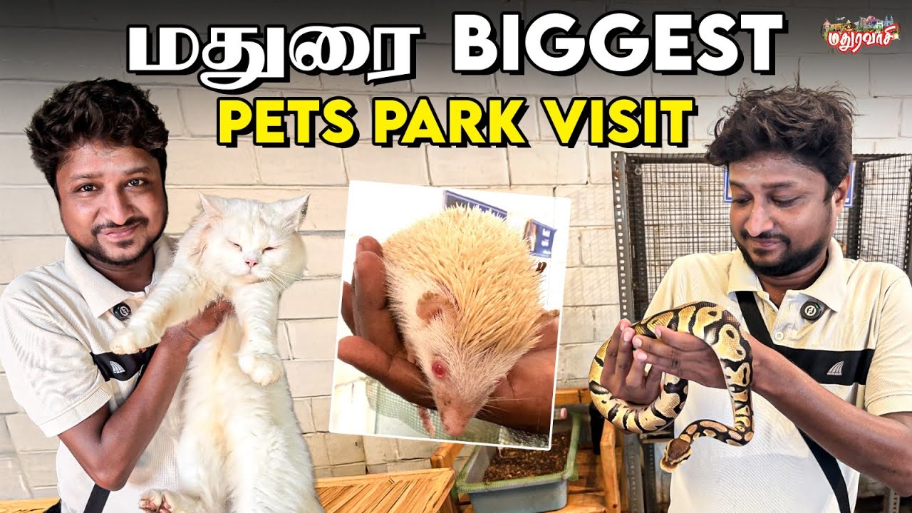 மதுரையின் மிகப்பெரிய PETS PARK | Madurai Biggest Pets Park Visit |Madura Vaasi