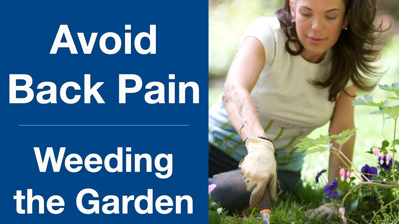 Avoid Back Pain When Weeding the Garden