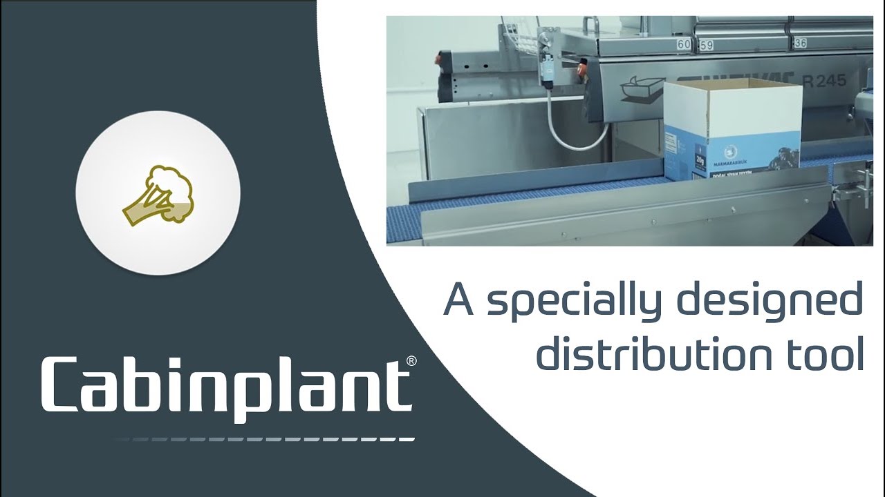 Cabinplant - weighing and packaging of olives