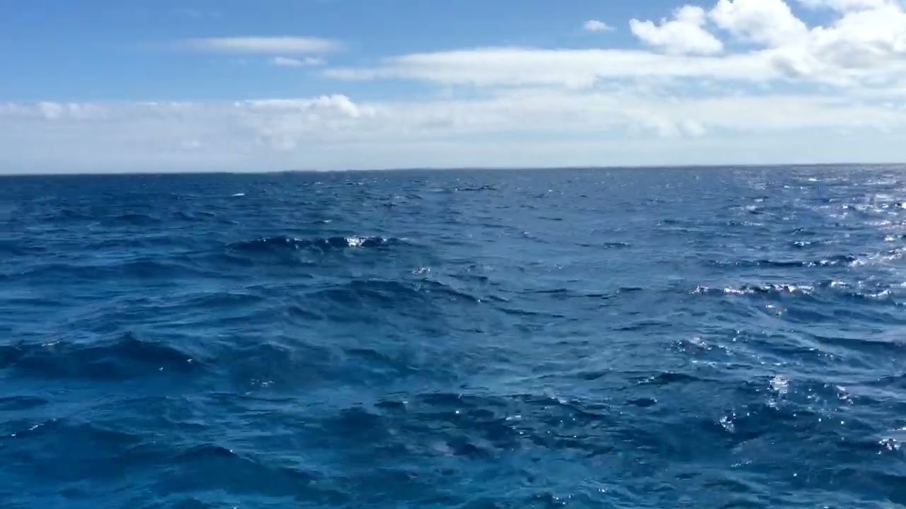 Catalina 355 reaching (1)
