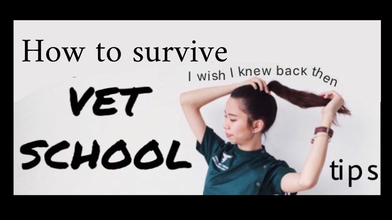Tips for aspiring vets | How to survive vet school part 1