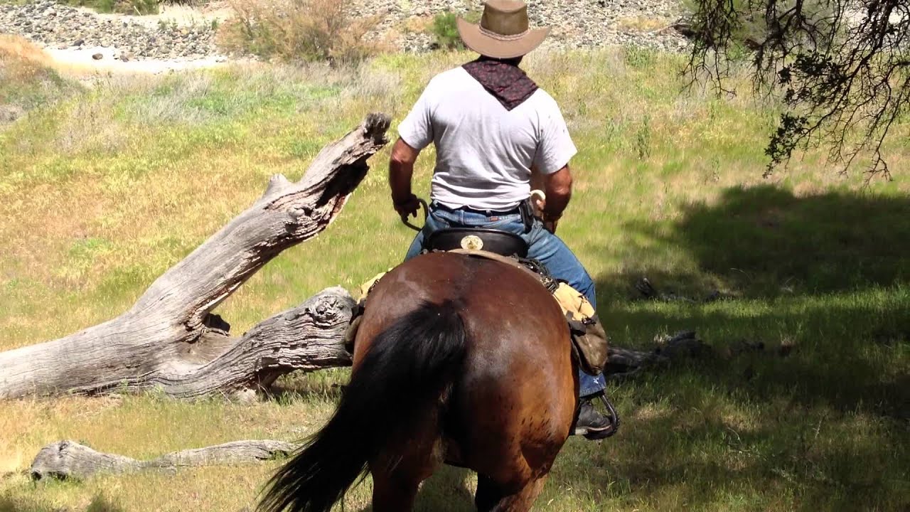 Getting Horse to Jump a Scary Downed Tree- Trail Sacking Out- Horse Confidence