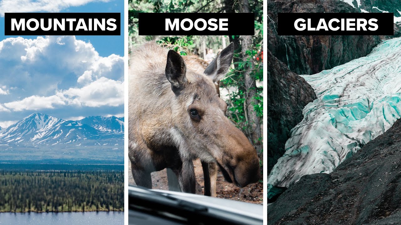ALASKA: Denali, Wrangell, and Kenai Fjords National Parks // TRAVEL VLOG