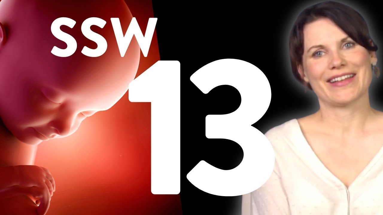 Deine 13. Schwangerschaftswoche | SSW 13 - Schwangerschaftsführer