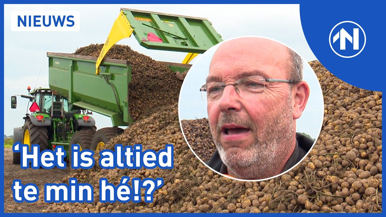 Is de aardappeloogst een succes?