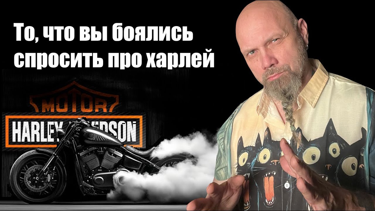 Все что вы хотели знать о харлее но боялись спросить