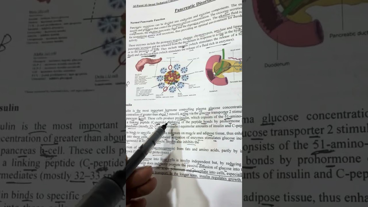شرح محاضرة الأيض التاسعة مرحلة ثالثة مختبرات طبية 2026 /الاستاذ مسلم عقيل 