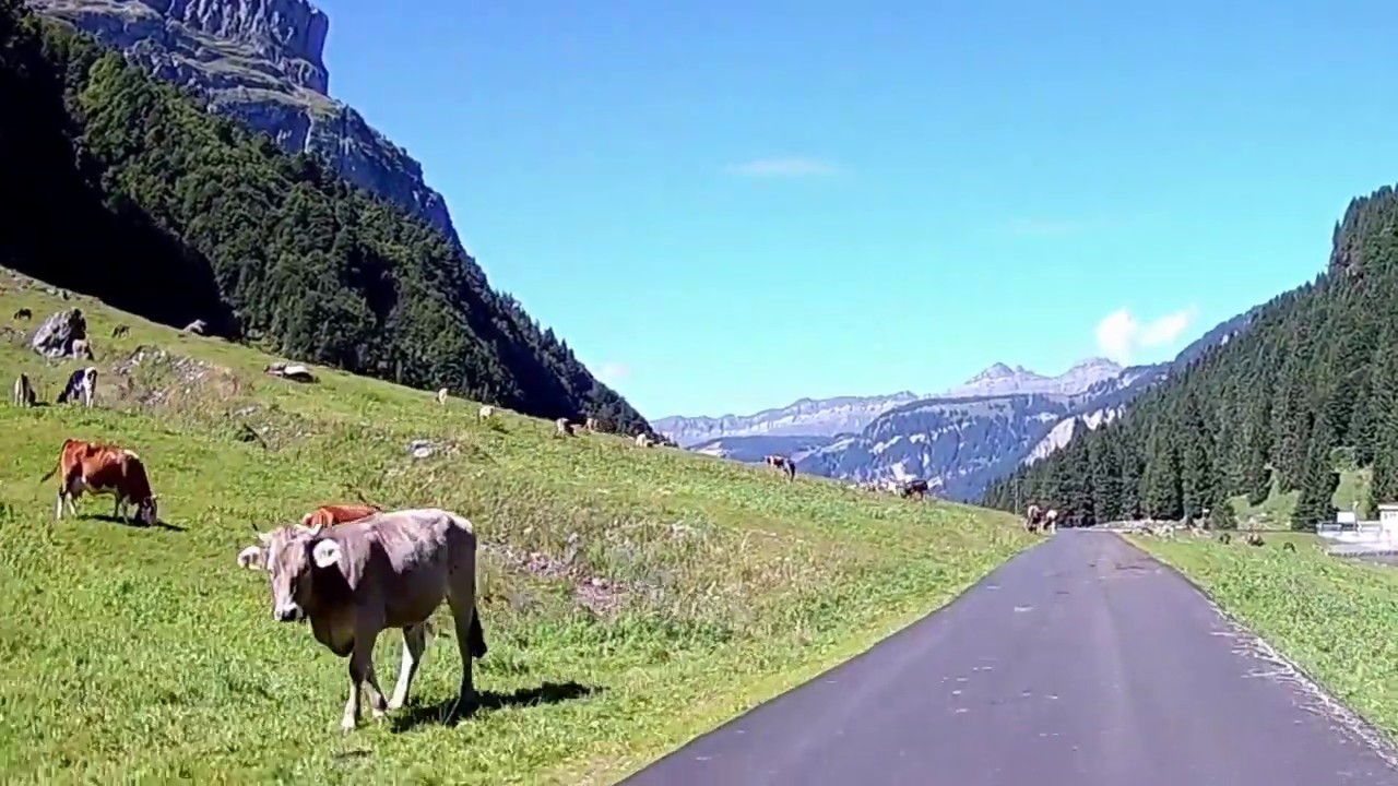 Appenzell Moto Bisistal (Sahli)