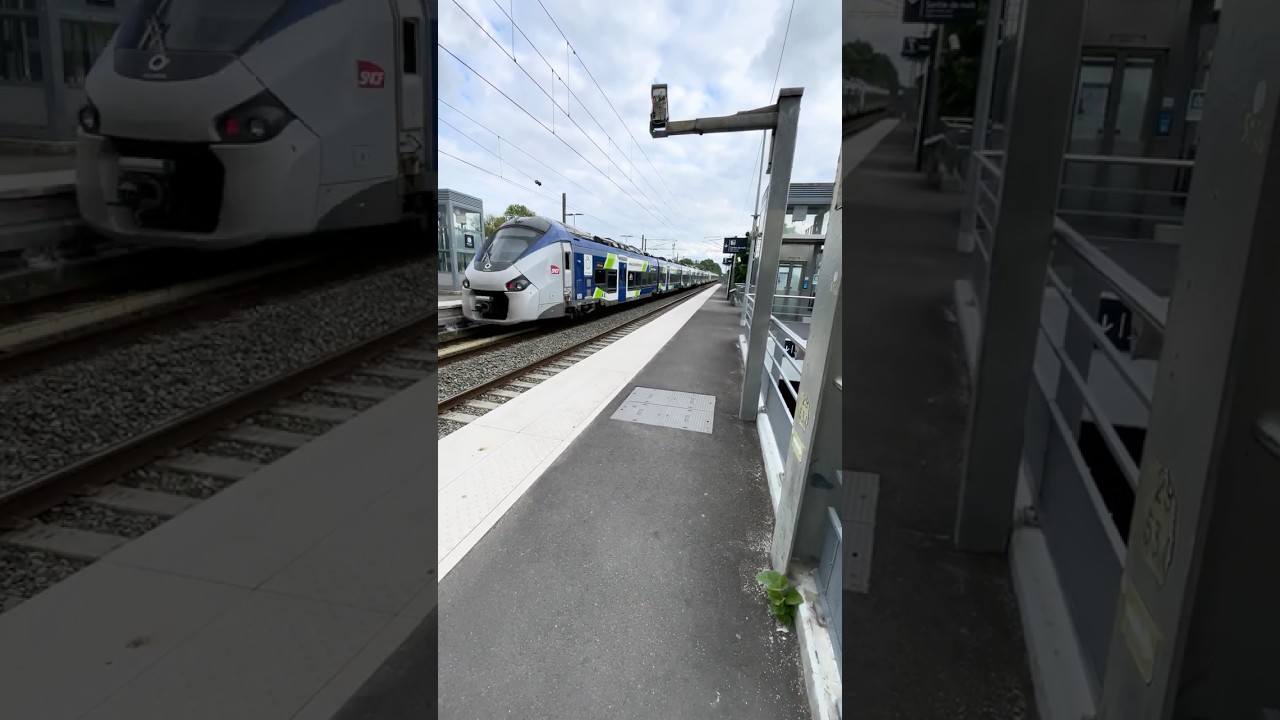 TER HDF | Passage d’un Regiolis à Survilliers - Fosses