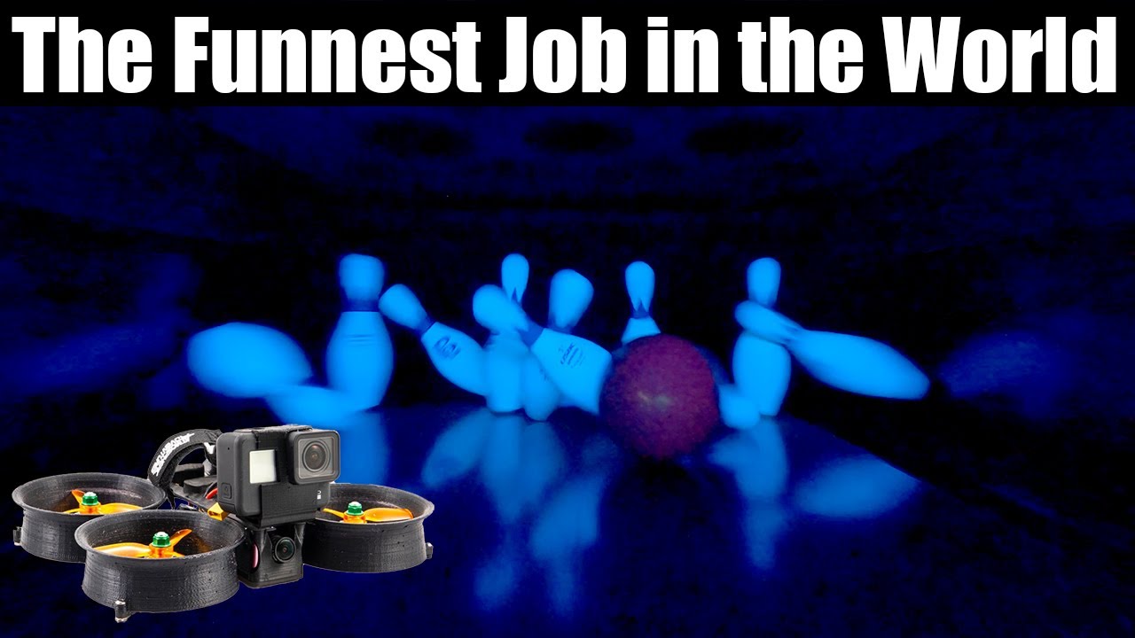 Living My Dream Job