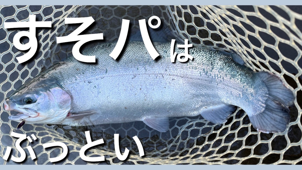 スプーンで遊ぶ✨すそパはぶっといぞ【エリアトラウト】【管理釣り場】【すそのフィッシングパーク】【スーモン】