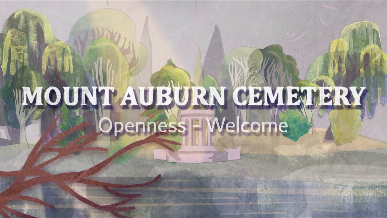 Visiting Mount Auburn | What to Expect