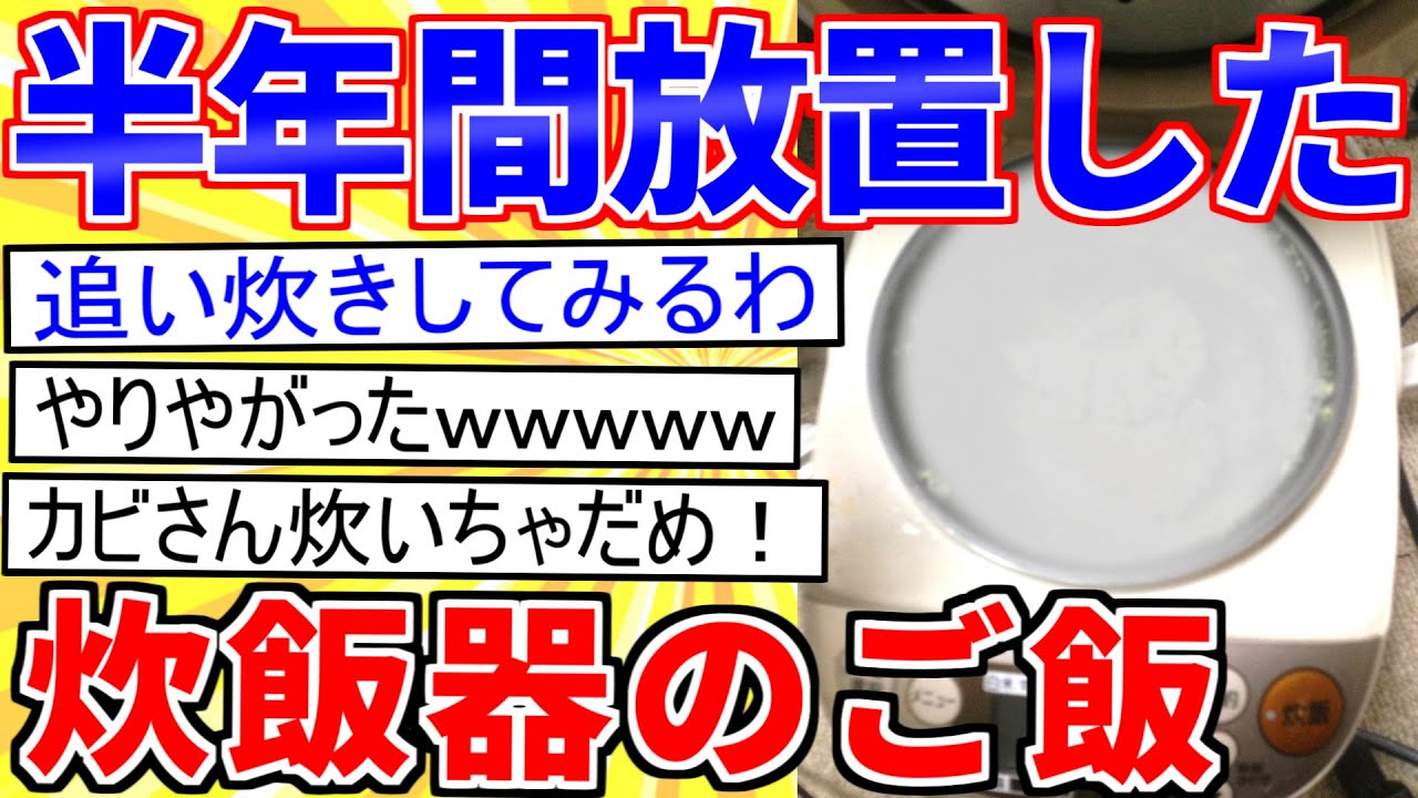 【2ch面白いスレ】炊飯器のご飯を半年間、放置した結果…【ゆっくり解説】