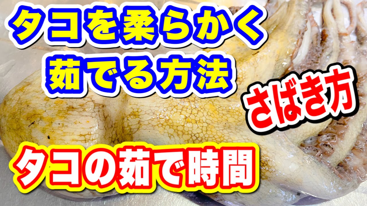 タコさばき方　タコをさばく➡️タコ茹で方　タコ茹で時間タコ湯がき方が1番大事