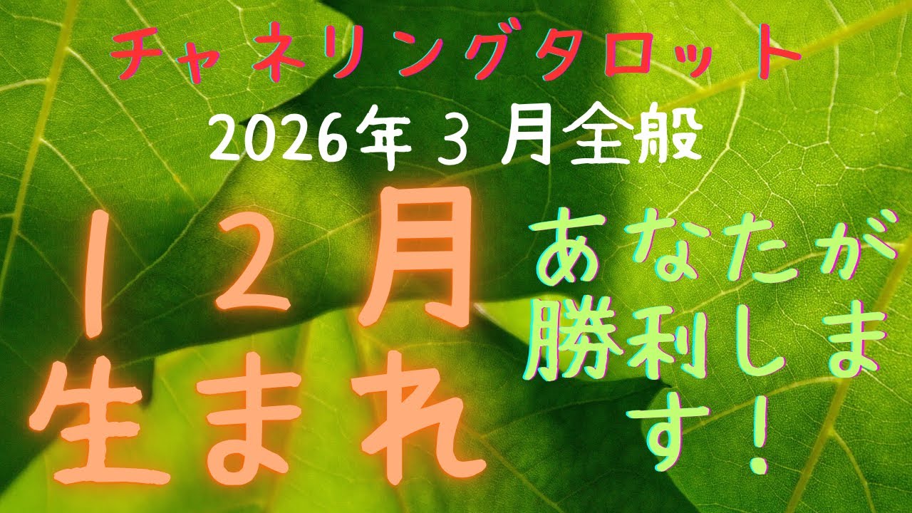 １２月生まれの方のタロットリーディング🔮あなたが勝ちますよ！ひとつの世界の締めくくり🌈